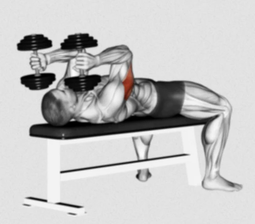 build insane triceps by doing dumbell skull crushers